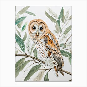 Tawny Owl Marker Drawing 1 Canvas Print