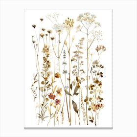 Wildflowers 17 Canvas Print