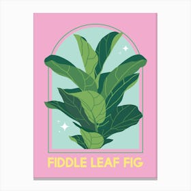 Fiddle Leaf Fig Canvas Print