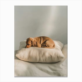 Dachshund Pillow.Generated AI. Wall Art Print Stampe su tela