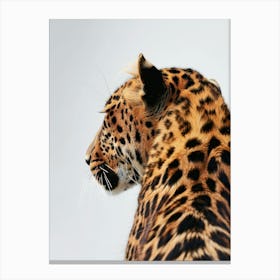 Leopard - Close Up 2 Canvas Print