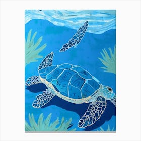 Blue Turtle Canvas Print