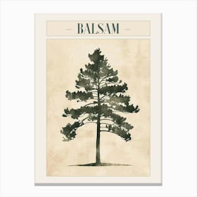 Balsam Tree Minimal Japandi Illustration 1 Poster Canvas Print
