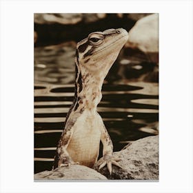 Lizard 7 Canvas Print