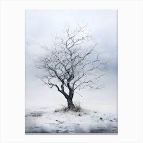 Winter Tree 2 Canvas Print