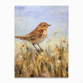 Bird Painting Hermit Thrush 1 Canvas Print
