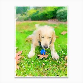 Golden Retriever Playing With Toy Canvas Print