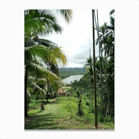 Palm Trees In The Jungle Canvas Print