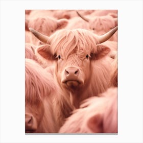 Pink Realistic Photography Of Highland Cows 4 Canvas Print