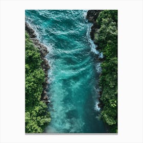 Aerial View Of A Tropical Beach Canvas Print