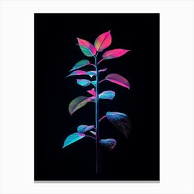 Neon Plant On Black Background 8 Canvas Print