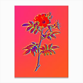 Neon Rosa Redutea Glauca Botanical in Hot Pink and Electric Blue n.0110 Canvas Print