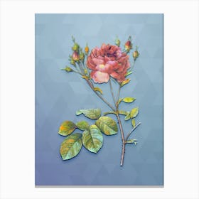 Vintage Pink Cumberland Rose Botanical Art on Summer Song Blue n.1390 Canvas Print