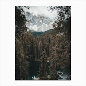 Lake In Forest Canvas Print