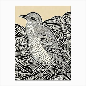 Hermit Thrush 2 Linocut Bird Canvas Print