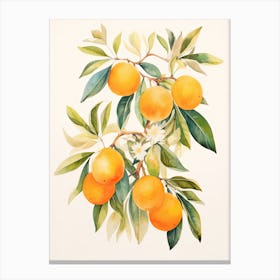 Oranges On A Branch Canvas Print