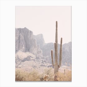 Superstition Mountain Cactus Canvas Print