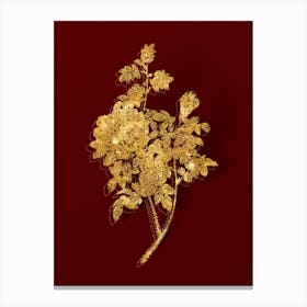 Vintage Ventenat's Rose Botanical in Gold on Red n.0557 Canvas Print