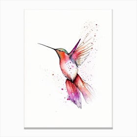Allen S Hummingbird Minimalist Watercolour 4 Canvas Print