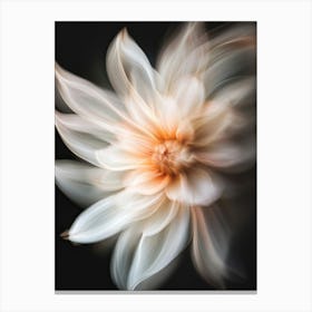 Dahlia Flower 4 Canvas Print