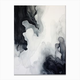 Black And White Flow Asbtract Painting 7 Canvas Print