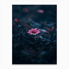 Dark Pink Flower 1 Canvas Print