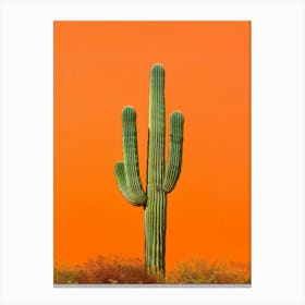 Saguaro Cactus 3 Canvas Print