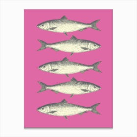 Sardines - Pink Canvas Print