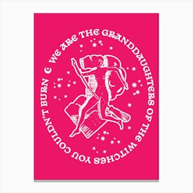 We Are The Granddaughters Of The Witches You Couldn't Burn Pink Canvas Print