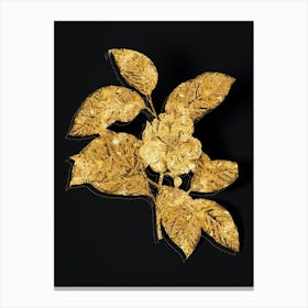 Vintage Stewartia Tree Botanical in Gold on Black Canvas Print