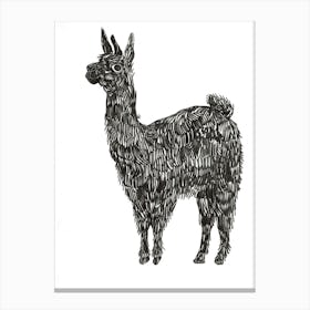 B&W Llama Canvas Print
