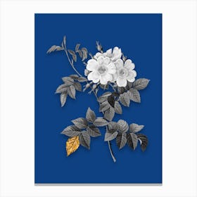 Vintage White Rosebush Black and White Gold Leaf Floral Art on Midnight Blue n.0605 Canvas Print