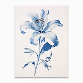 Blue Botanical Lily 1 Canvas Print