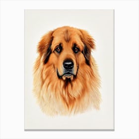 Leonberger Illustration dog Canvas Print