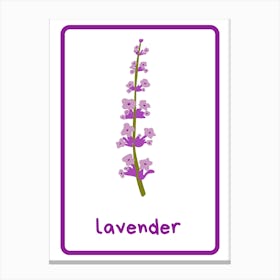 Lavender Flower 1 Canvas Print