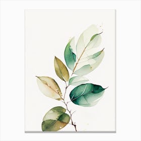 Rhododendron Leaf Minimalist Watercolour Canvas Print