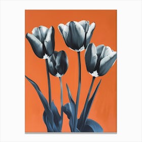 Black And White Tulips Canvas Print