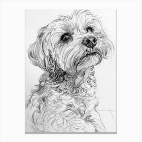 Maltese Dog Line Drawing Sketch 3 Canvas Print