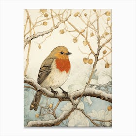Bird Illustration European Robin 4 Canvas Print