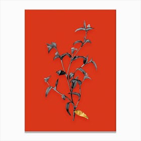 Vintage Commelina Africana Black and White Gold Leaf Floral Art on Tomato Red n.0256 Canvas Print