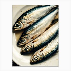 Sardines On A Plate 2 Canvas Print