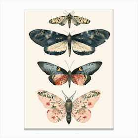 Colourful Insect Illustration Butterfly 11 Canvas Print