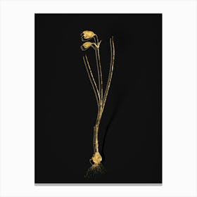 Vintage Snowbell Botanical in Gold on Black n.0315 Canvas Print