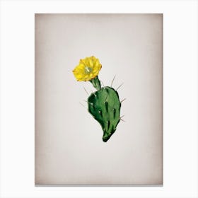 Vintage One Spined Opuntia Flower Botanical on Parchment n.0328 Canvas Print