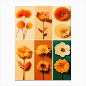 Fall Flowers, Fall Colors, Collage, Autumn Collection  Canvas Print