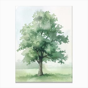 Chestnut Tree Atmospheric Watercolour Painting 7 Canvas Print