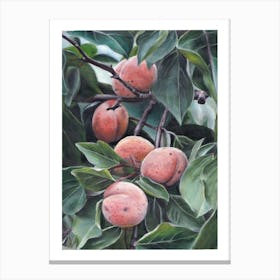 Peach Tree Canvas Print