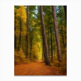 Autumn Forest Path 1 Canvas Print