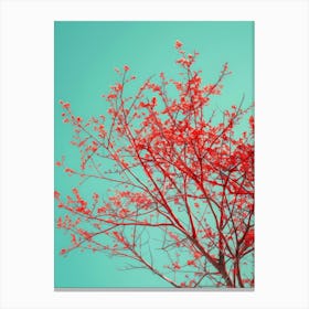 Red Tree Against Blue Sky 6 Canvas Print