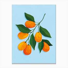 Kumquat Canvas Print
